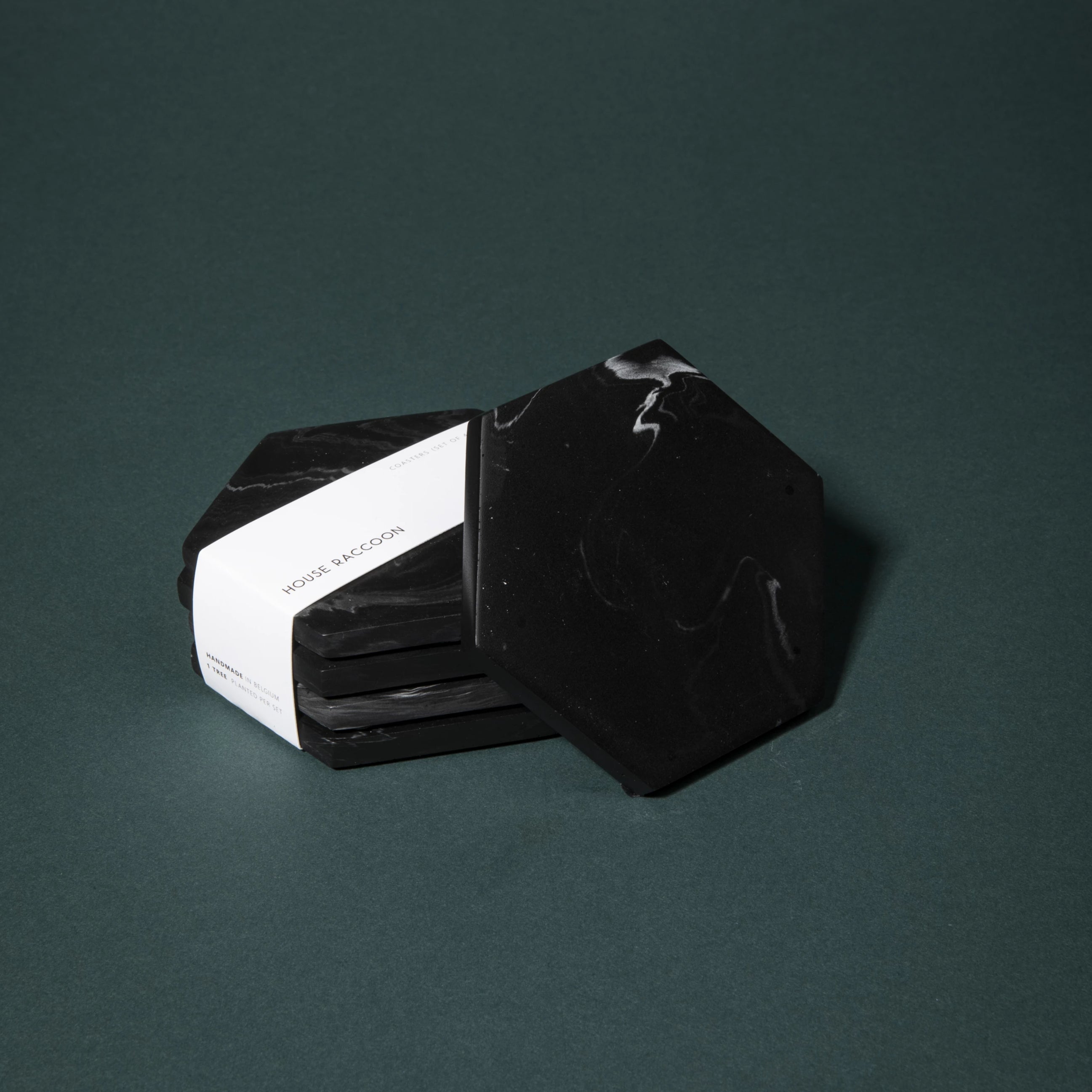 House Raccoon Coasters